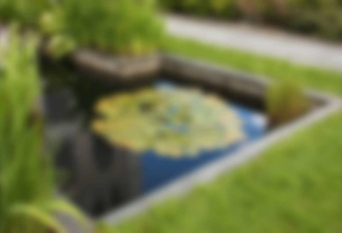 Deer-resistant Plants for Oregonians