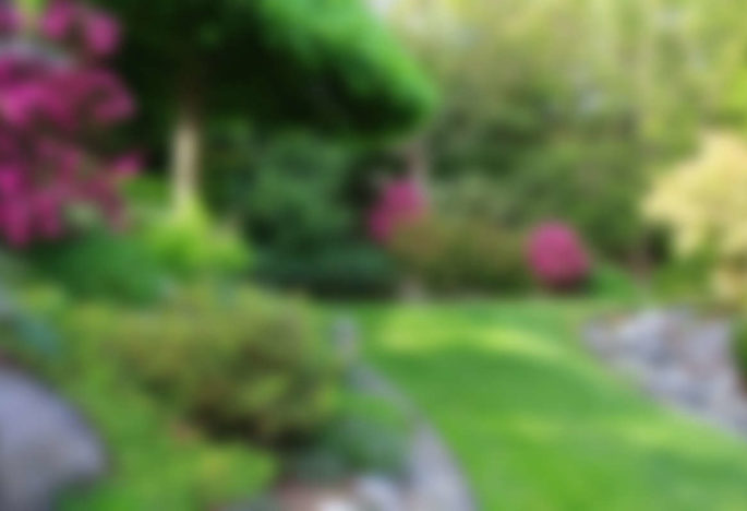 Easy Ways To Improve Your Lawn